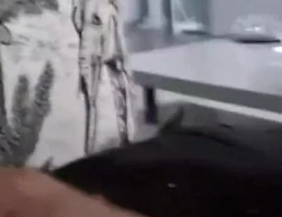 Big Cock