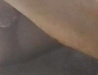 Temptingtalex