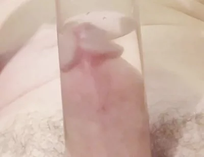 Verbal Daddy Pissing, Pumping, Sounding and Cumming