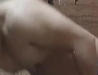 Bathroom Me Nanga Nahate Hue Bathing Video