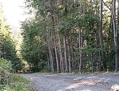 Scooter Rider Outdoor Masturbation