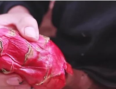 I Was So Horny I Used A Dragon Fruit To Jerk Off And Then Took A Long Piss