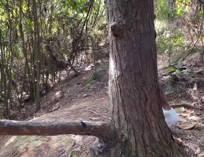 A Curious Heterosexual Boy Saw Me Masturbate in the Forest and We Ended up Fucking