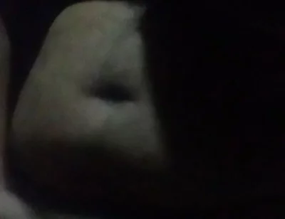 Full Cock Fun...free for You.....