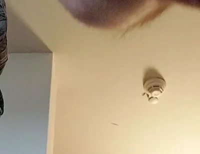 Bulge Xl