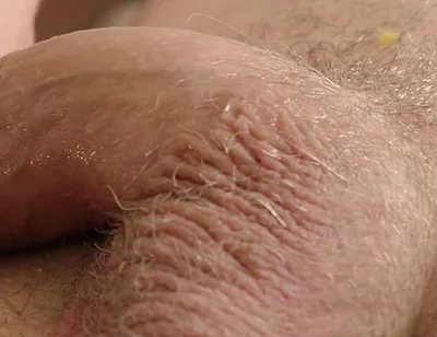 The Peach Scene