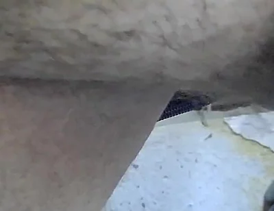 Five minutes of me masturbating (Failing NNN of 2022)