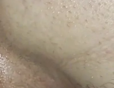 A Femboy's Fuck Hole Serves a Big, Thick, Bare Cock Until It Spills Cum!