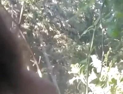 Pissing in My Backyard