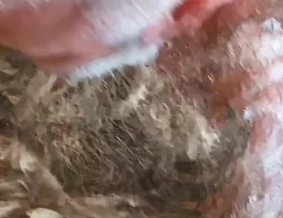 Still Dirty