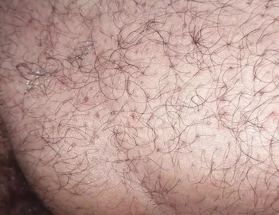 A Close up Ass Worshiping and Fingering