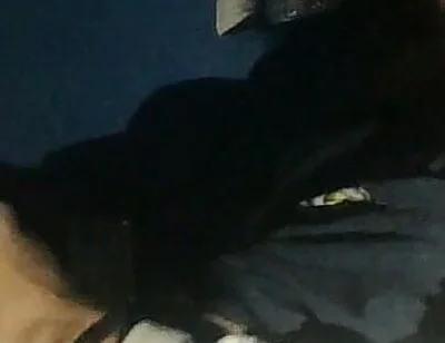 Watching Videos of Me Jerking