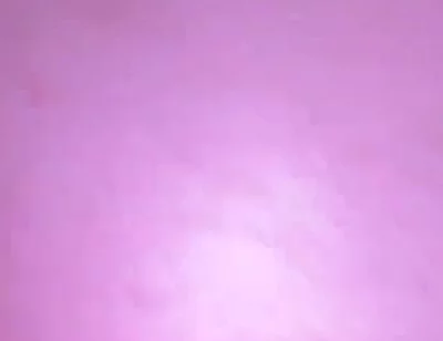 Anal Fun