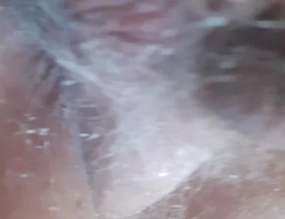 Fuck My Horny Anal Cunt
