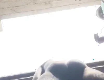 Doggy Bareback Below View