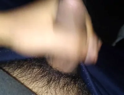 Pleasure in the Afternoon