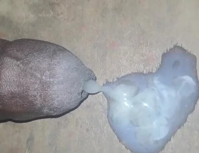 A Big Black Cock Full of Cum