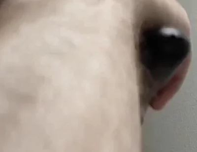 Shaving and trimming my cock, balls, and face