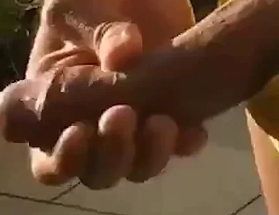 Wife Suck Cock in Nudist Beach House