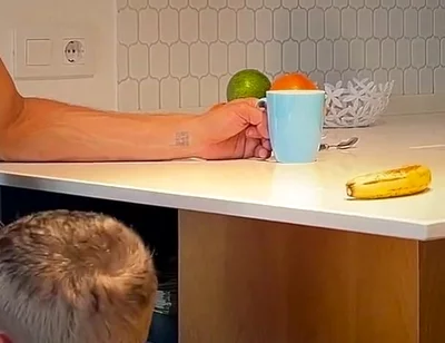 I Secretly Suck My Best Friend While My Wife Isn't Watching - His Dick Squirts Hard in My Mouth