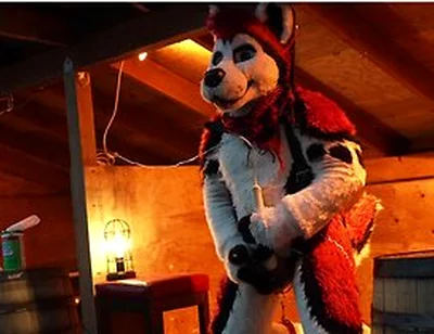Husky Fursuiter Suspension Jerkoff