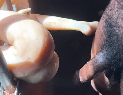 The Prisoner Cum Hard Needed to Help Cum More