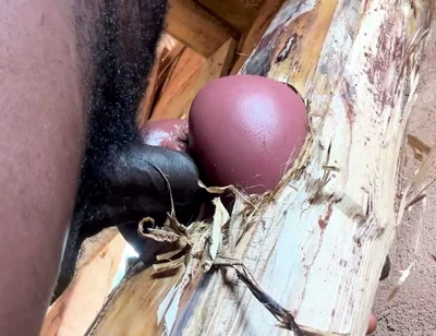 Ass Is Very Sweet in My Prison Room