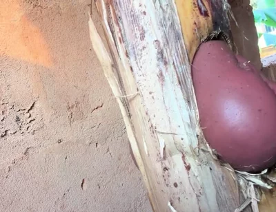 The Prisoner Find Hard Way to Sex