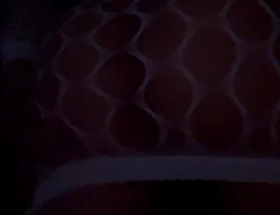 Just My Booty