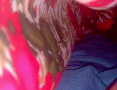 Desi Cock