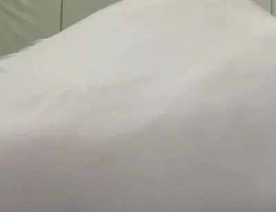 Essa Fake