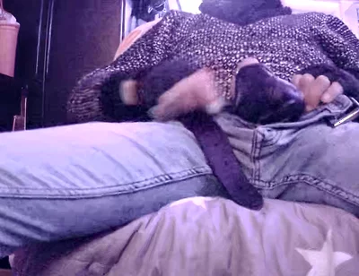 Stepdaddy Is Fooling Around Part 3 (cumming)