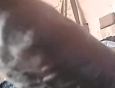 My Cock Is Very Hard and Long