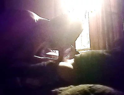 My Neighbor's Son Visits Me for Oral Sex in Secret