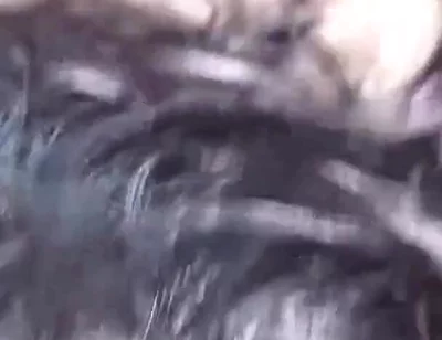 My Roommate Catches Me on Him and I Fuck His Ass Bareback, Creampie