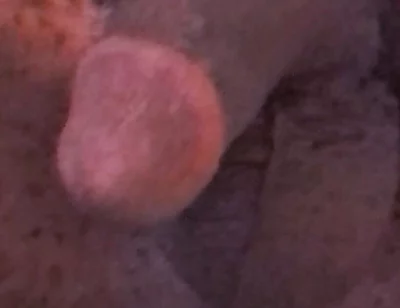 Wanna Get Fucked and Breed??