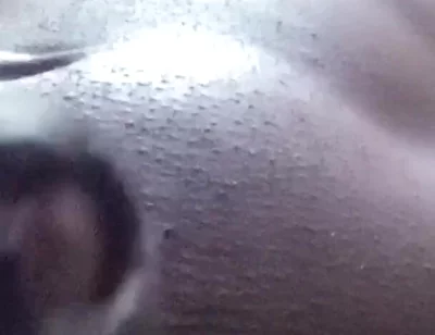 Jumping Dicks Are Good for You