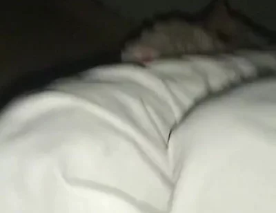 Night Time Vlog It Home and. Sex Girl Friend