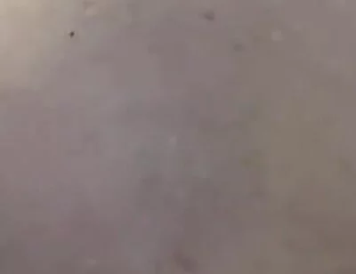 Tits Play so Good
