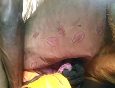 Boy Fuck Free Pussy and Cum Very Good