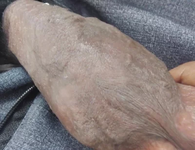 Hot and Sexy Boy Hot and Sexy Dick