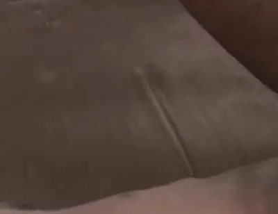 Stepdaddy Champ's Got a Big Ole Dick for You to Play
