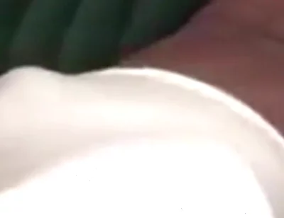 Bouncing my big black dick teasing fan request