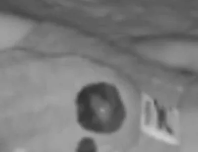 Compilation of 2 Amateur Smooth Boy's Wet Dreams Caught on Cam