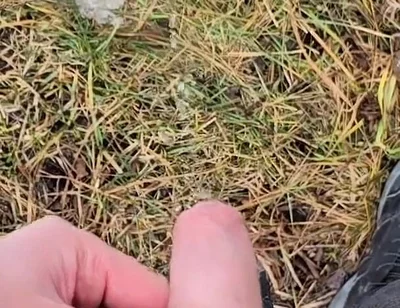 A Bit Risky Peeing - POV Outdoor Male Pee During a Nature Walk