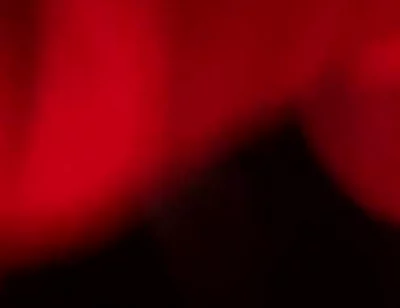 Red Light