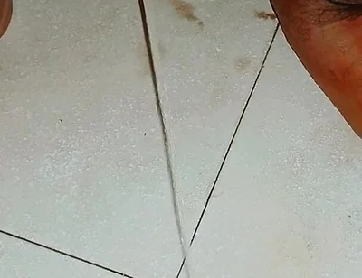 Pissing in Girls Bathroom