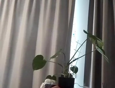 Home Masturbation
