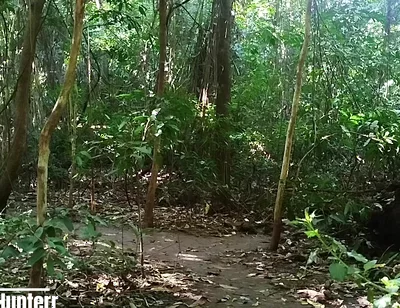 Cumming in the Park