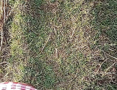 Gay Boy Outdoor Night Pussy Hole Sucking